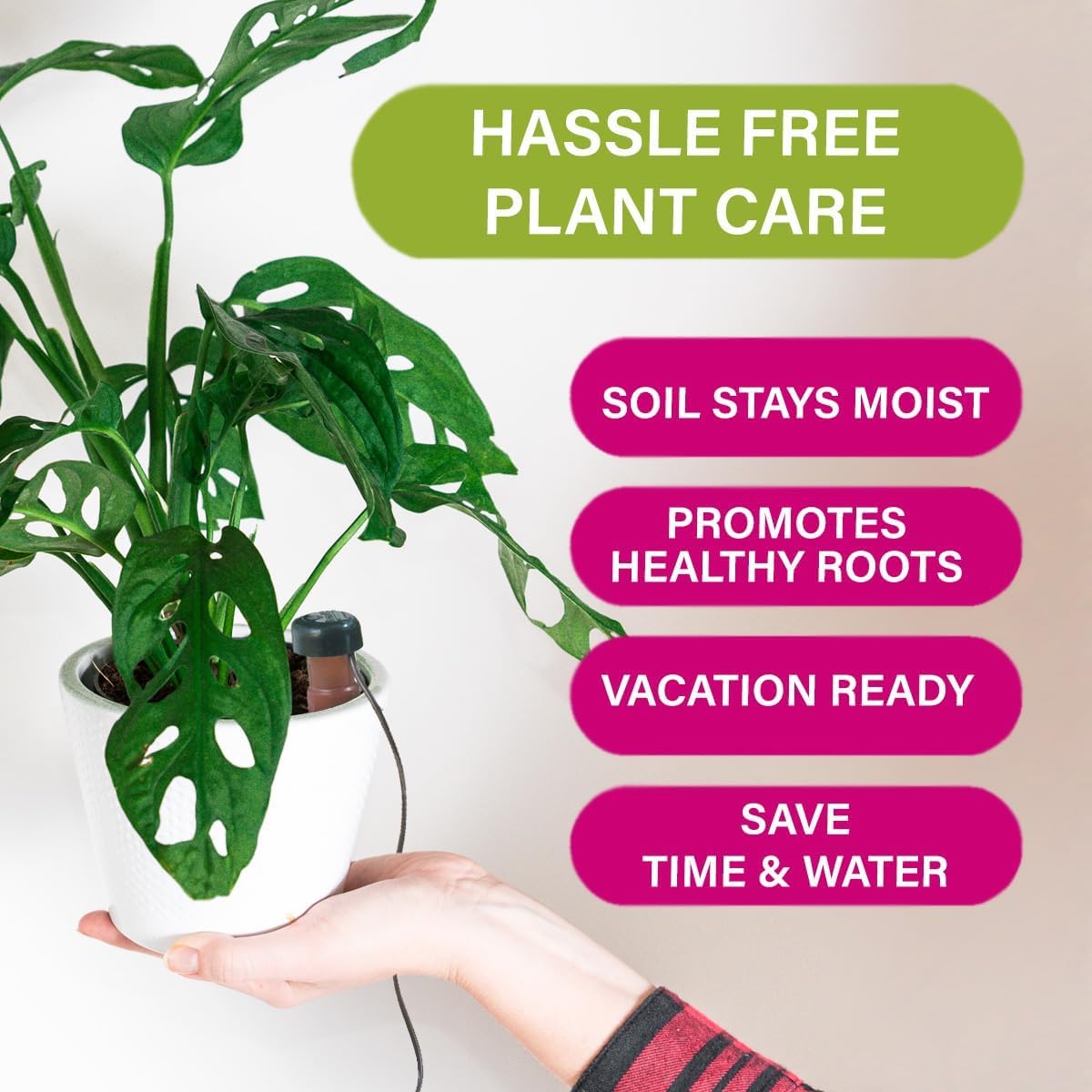 Blumat Classic Self-Watering Stakes - Prevents Overwatering and Underwatering for Healthy Growth While You are Away - Ideal for Indoor Plant Watering, 3 Pack, wo Adapter