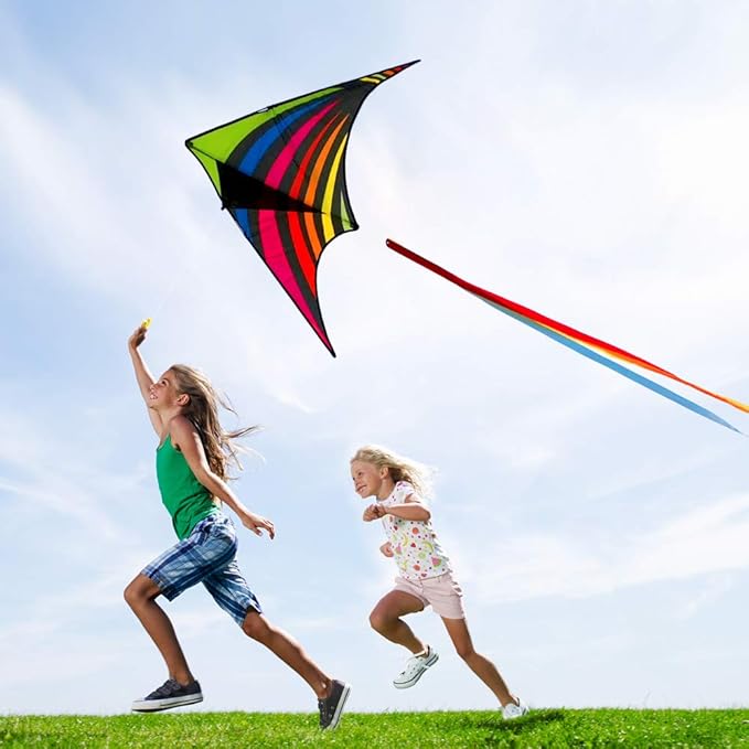 Mint's Colorful Life Delta Kite for Kids & Adults, Extremely Easy to Fly Kite, Best Kites for Beginner