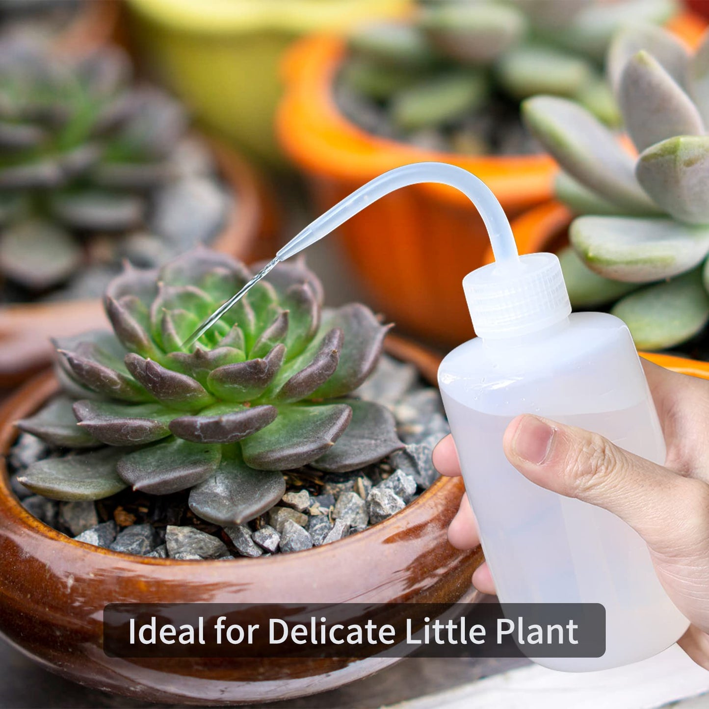 Goowin Watering Can Indoor Plants, 47 oz Long Spout House Plant Flower Watering Can, Creative Wide Opening Plastic Watering Can with 16 oz Spray Bottle & 8.5 oz Squeeze Bottle, Green