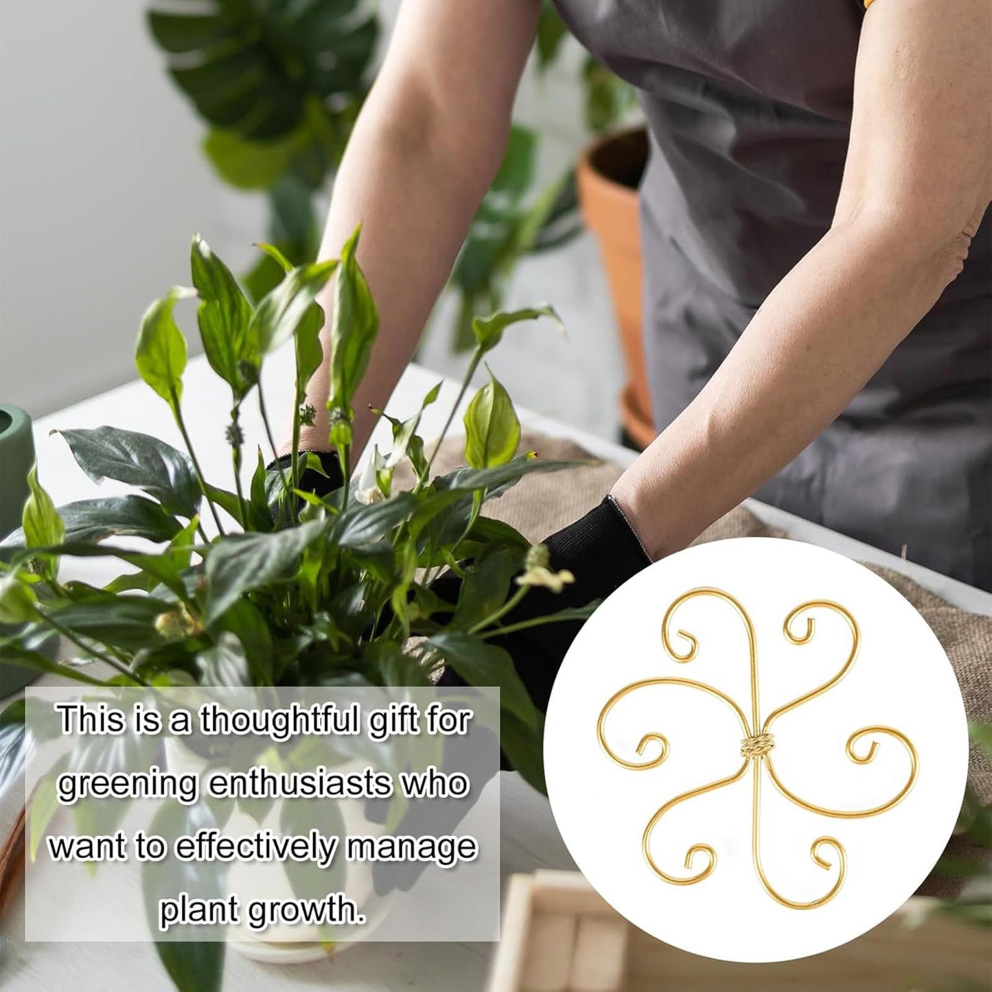 5 Pcs Plant Stem Support, Iron Monstera Plant Support, Durable Hook Stem Supports for Healthy Growth, Bamboo Clamp Set for Leaf Stabilization and Support, Ideal Present for Plant Lovers (6.5IN*6.5IN)