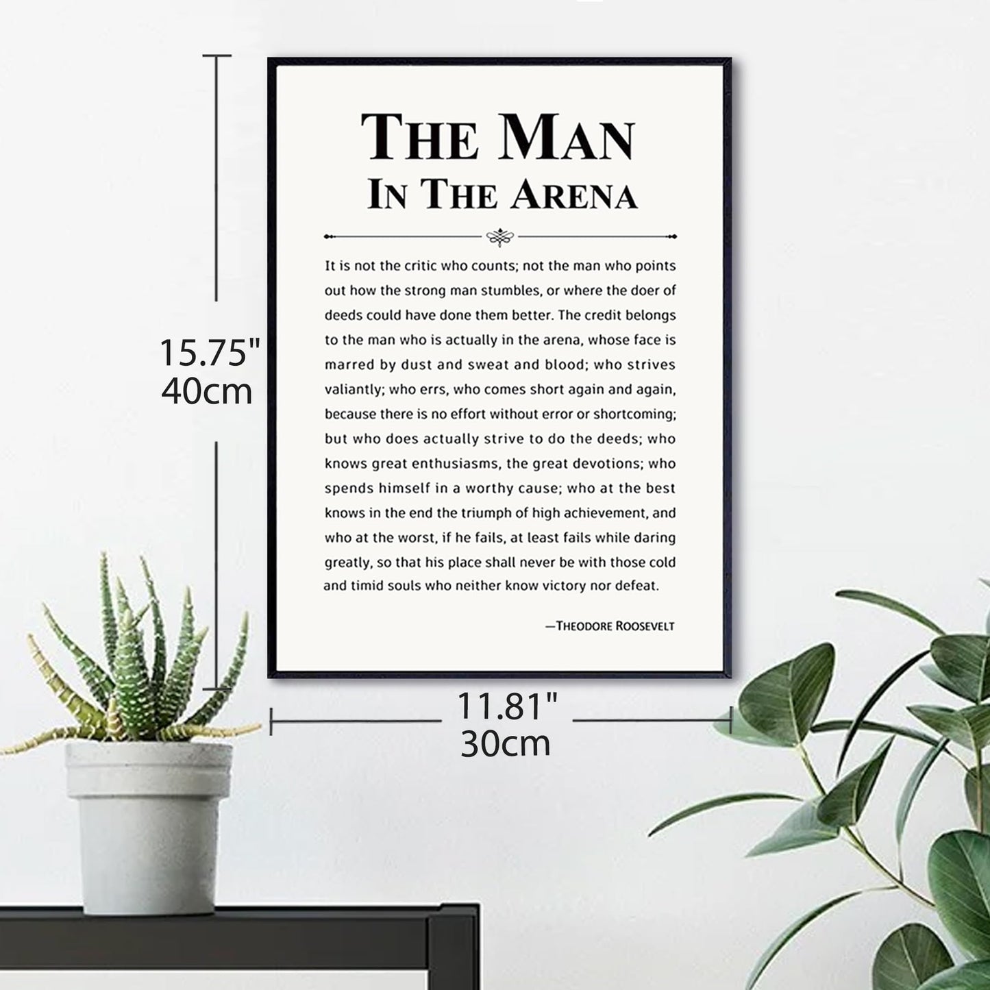 Howwii Inspirational Wall Art Office Decor The Man in the Arena Motivational Positive Quote Canvas Print Gift for Men&Women Framed Canvas Wall Decor 12”x16”