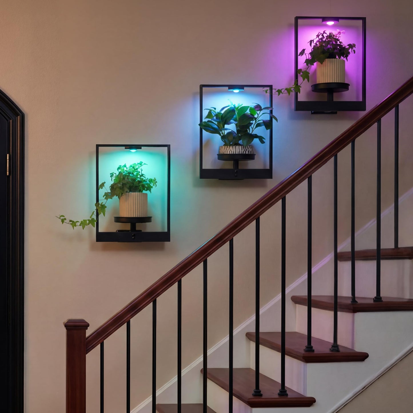 FancyPlus 3 Pack Plant Stand with Lights Hanging Planters for Indoor Plants,Picture Frame Wall Plant Holder Metal Modern Style Floating Plant Rack for Living Room Window Balcony Garden Patio Bedroom Entryway