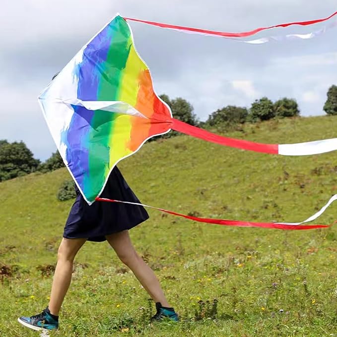 Kites for Kids & Adults, Beach Kites Set for Beginners, Easy to Fly Large Kites Pack for Boys and Girls, Kite String Included, Perfect for Outdoor Activities