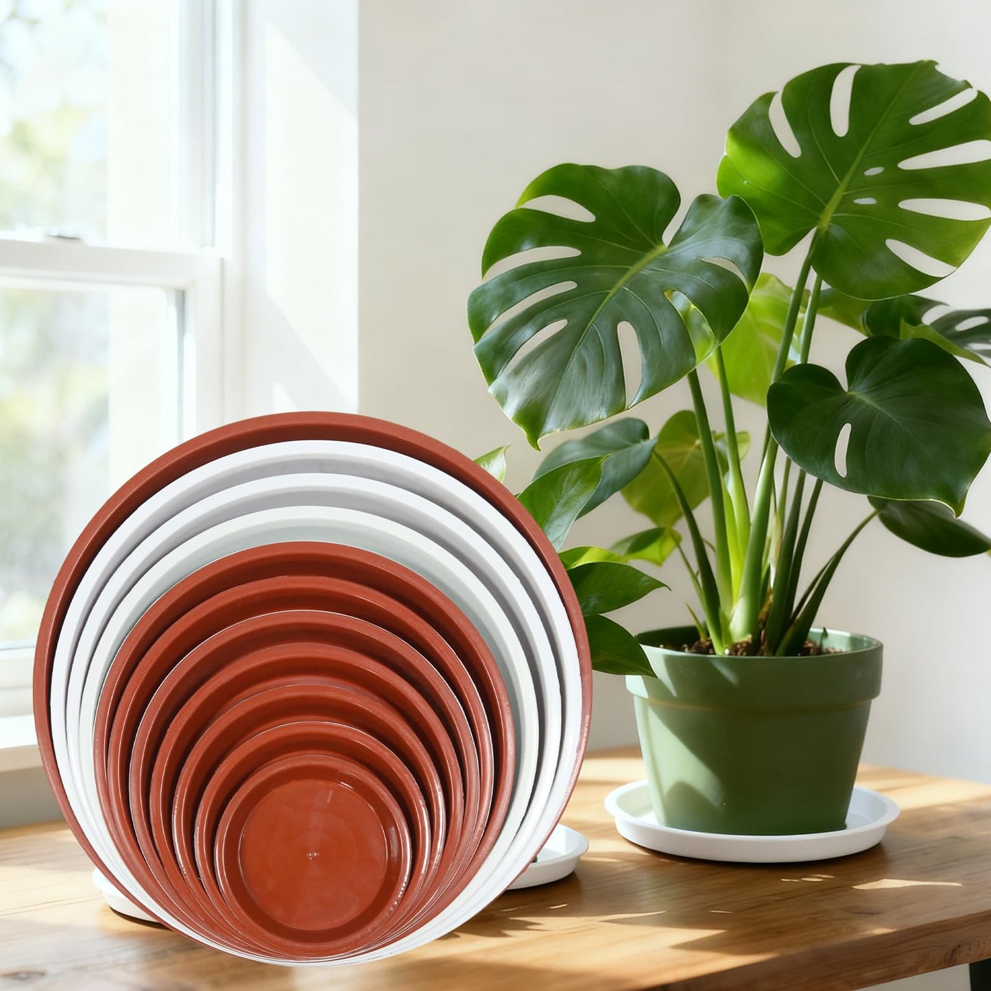JAKOUE 4 Size Round Plant Saucer,8 Pack Pant Pot Trays, Plant Saucers for Indoors and Outdoors, Seed Starting Tray, Growing Trays,White(4",5",6",8")