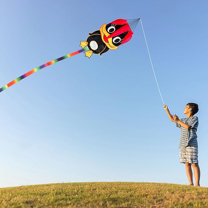Duck Pattern Kites for Kids, Cute Large Kite Duck Kite with Long Colorful Tail for Kids & Adults, Easy to Fly Kite for Beginners Outdoor Activities