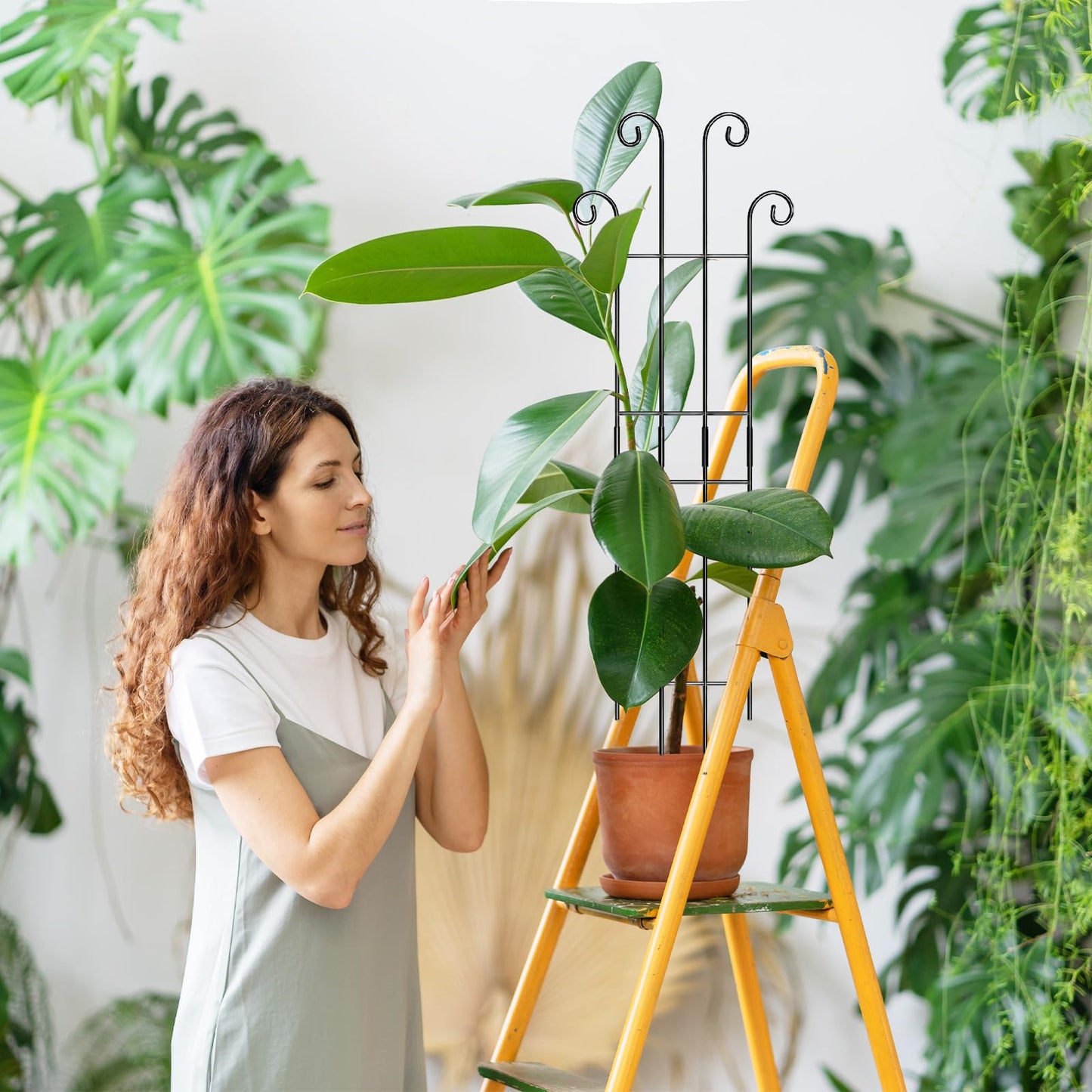 Coomin 32.6in Monstera Plant Support Stakes for Outdoor Plants, Garden Trellis for Climbing Plants, Metal Stakes for Potted Plants Pothos Plant Climber Support, 4P
