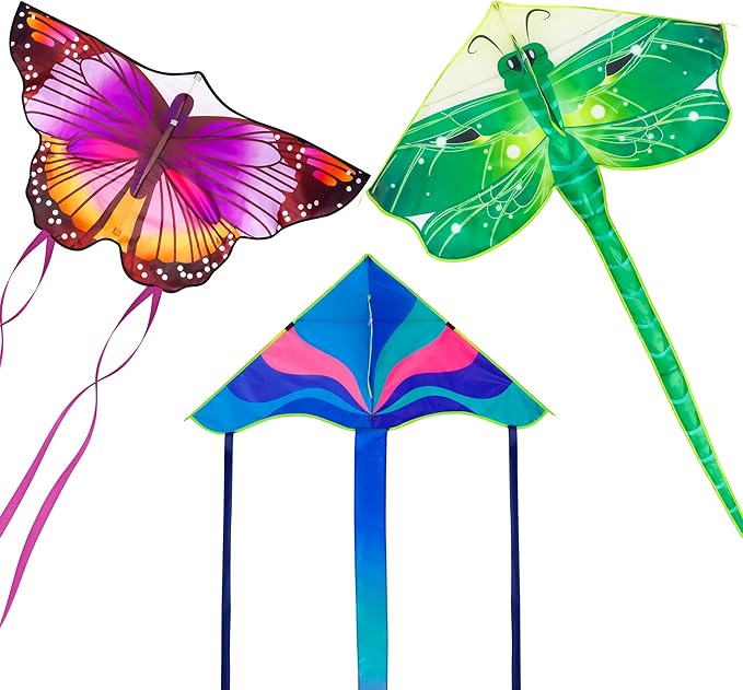 Large Kites for Adults Kites for Kids Ages 4-8, 8-12 Beach Park Outdoor Game Activities, Gifts for Easter and Festival