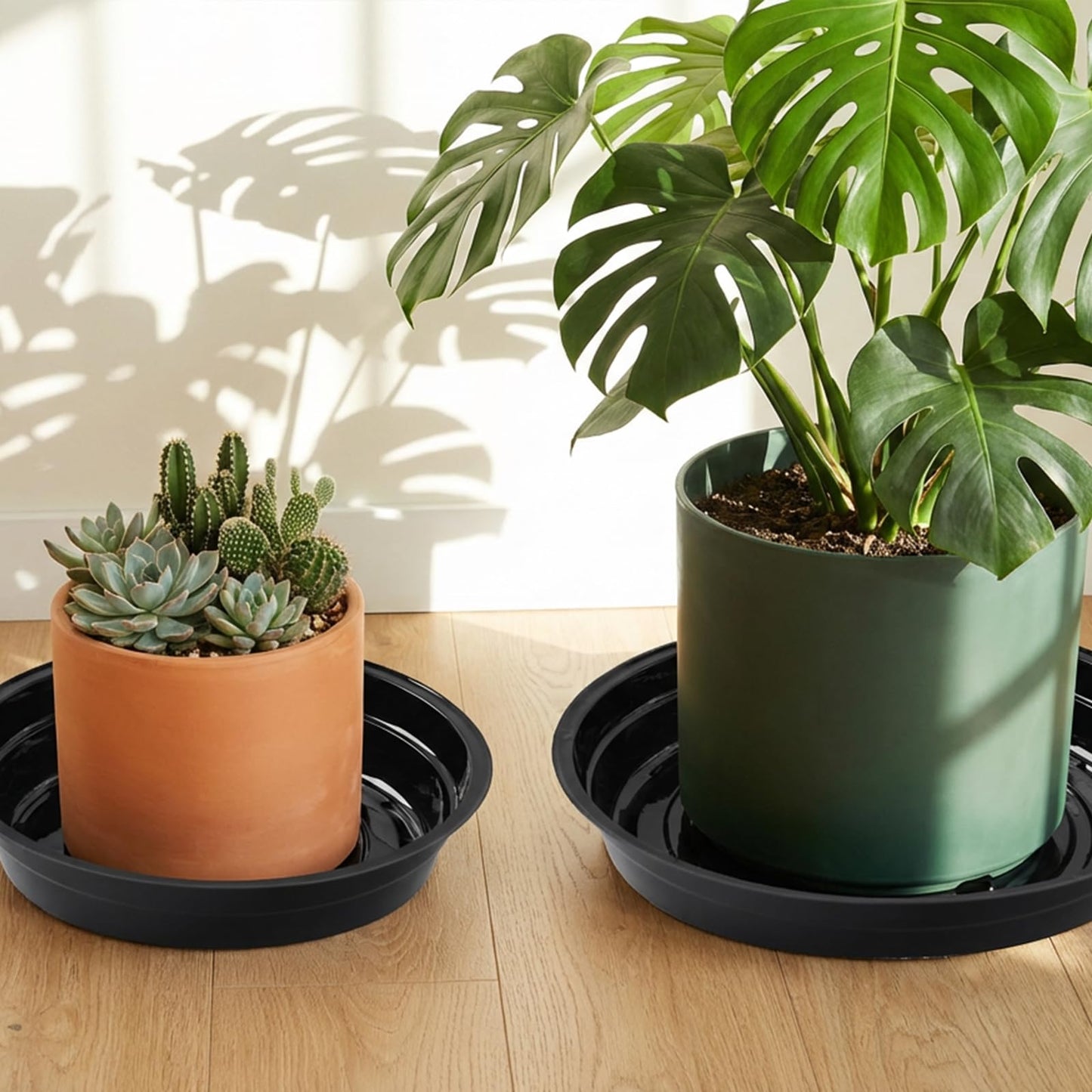 TRUEDAYS 20 Pack Black Plant Saucers β 4 Sizes (6"/8"/10"/12") Plastic Flower Pot Trays for Indoor & Outdoor Plants, Drip Trays to Protect Floors & Surfaces