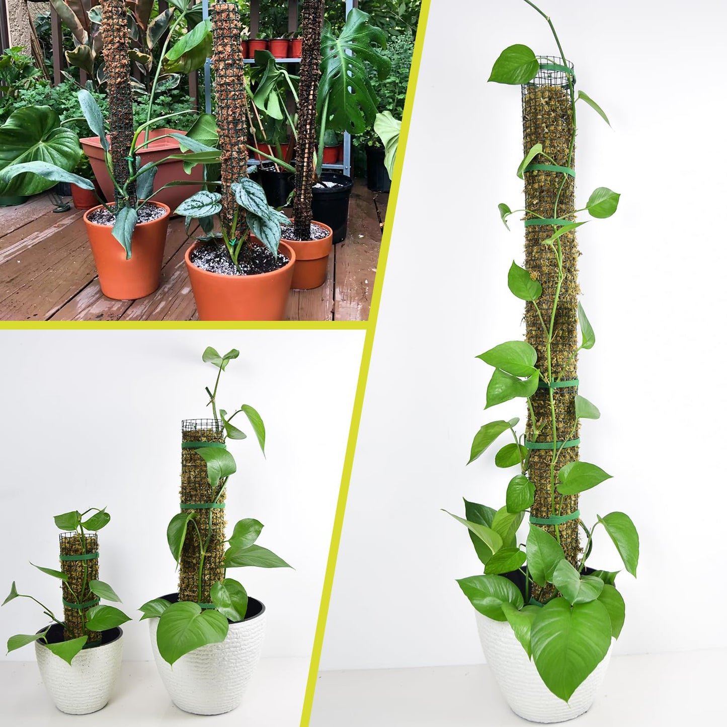 4 Pack Metal Moss Pole, 15" Moss Poles for Plants Monstera, Stackable Sphagnum Moss Pole for Plants, Plant Poles for Climbing Plants Work with Sphagnum Moss(4 Pack 15")
