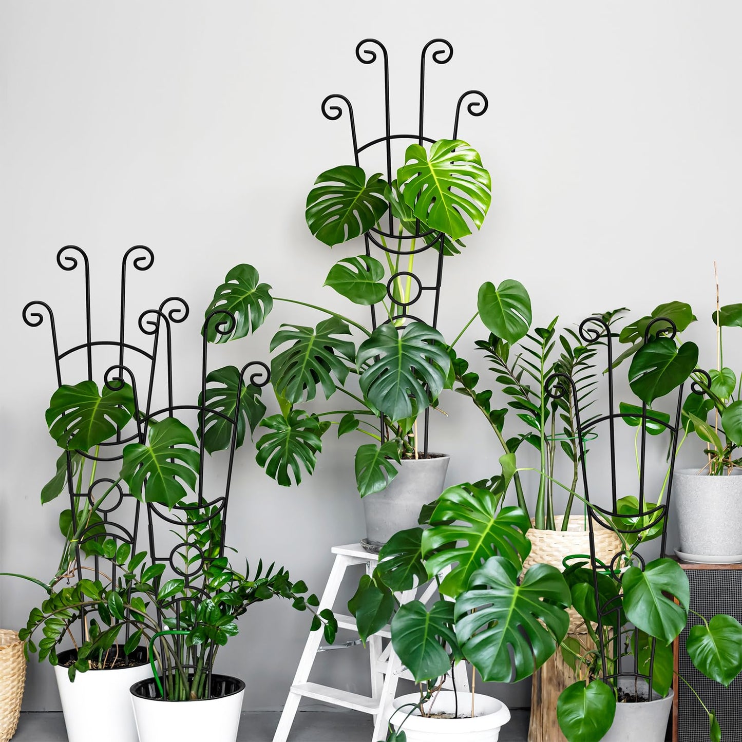 32.6in Monstera Plant Support Stakes for Indoor Plants, Metal Garden Plant Trellis for Climbing Plants, Pothos Vine Snake Climber Support,4p