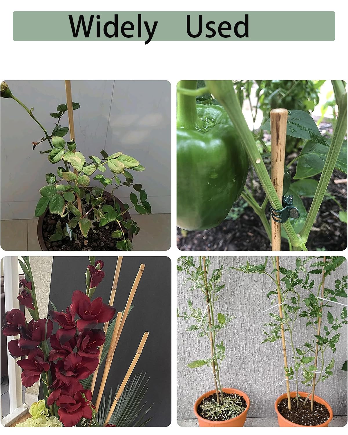 Moromyse 30Pcs Garden Stakes, 0.32”/16 Inch Bamboo Sticks with 100 Pcs Twist Ties Natural Plant Stakes for Indoor and Outdoor Plants,Poles for Tomatoes, Beans, Potted Plants