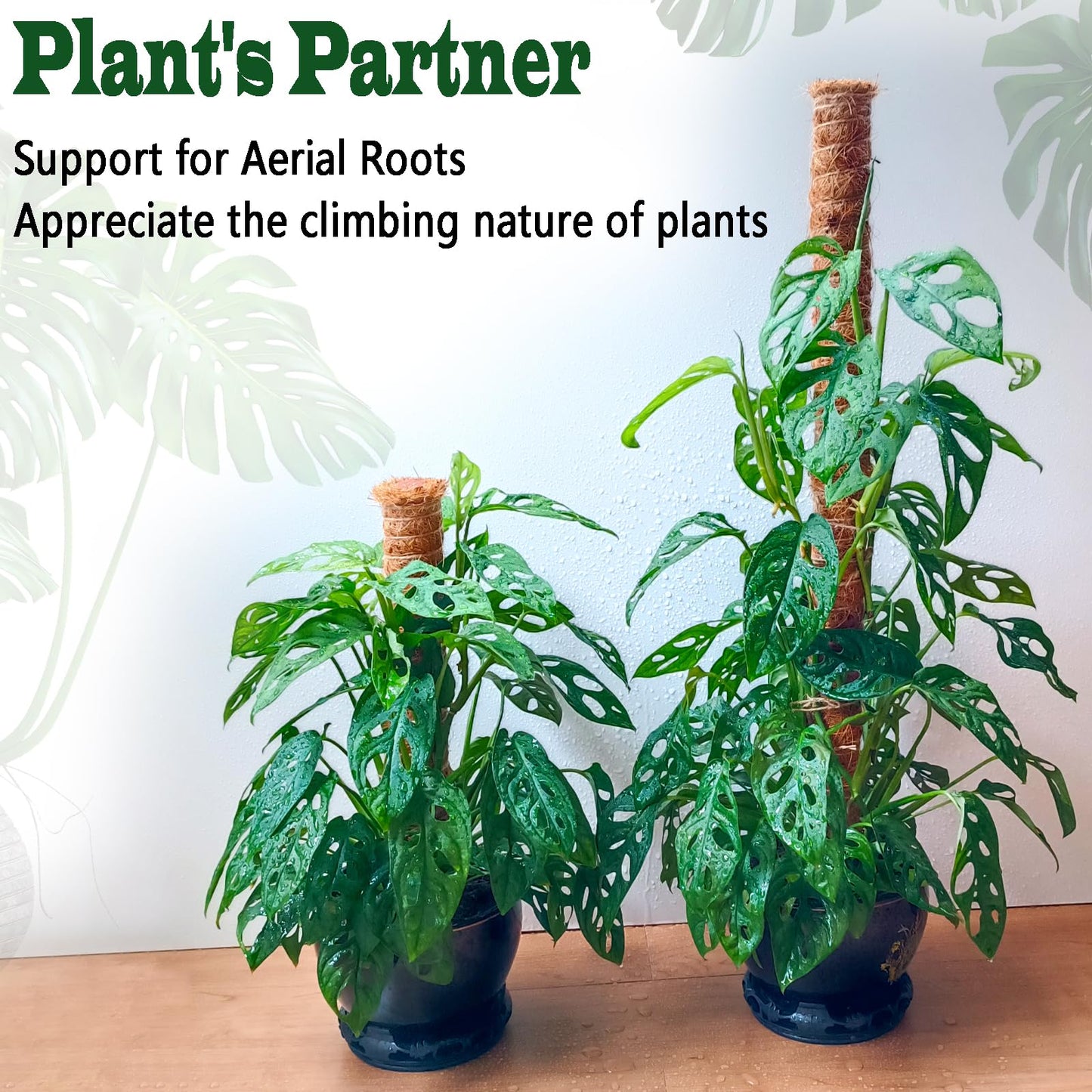 2 Pack 17 Inch Moss Pole, Stackable Moss Poles for Climbing Plants Monstera, Tall Plant Sticks Accessories, Large Coir Plant Support Stakes for Potted Plants Indoor, Pothos, Philodendron