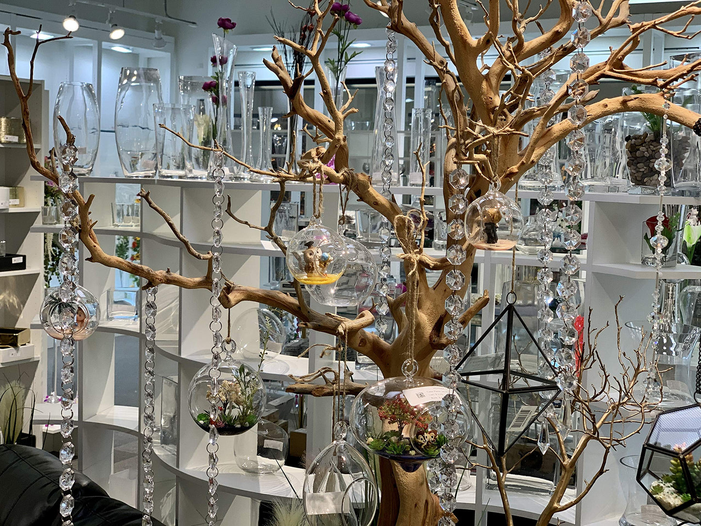 WGV Hanging Terrarium Globe, Width 7", Height 8", DIY Air Succulent Planter, Clear Glass Vase Orb with Flat Bottom, Candle Holder Outdoor Garden Decor, 6 Pieces