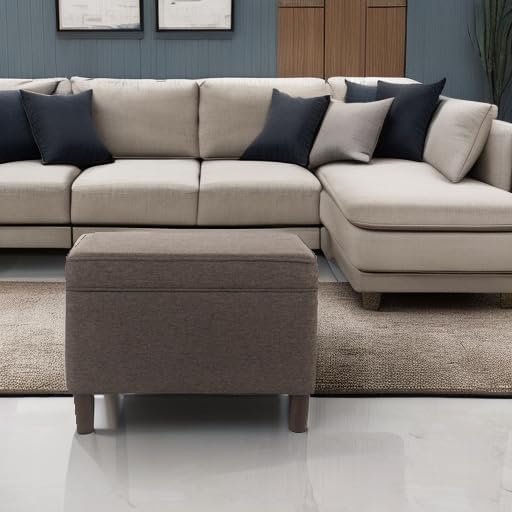 Spatial Order Home Decor | Dinah Collection Modern Storage Ottoman | Ottoman with Storage for Living Room & Bedroom (Chocalate Brown)