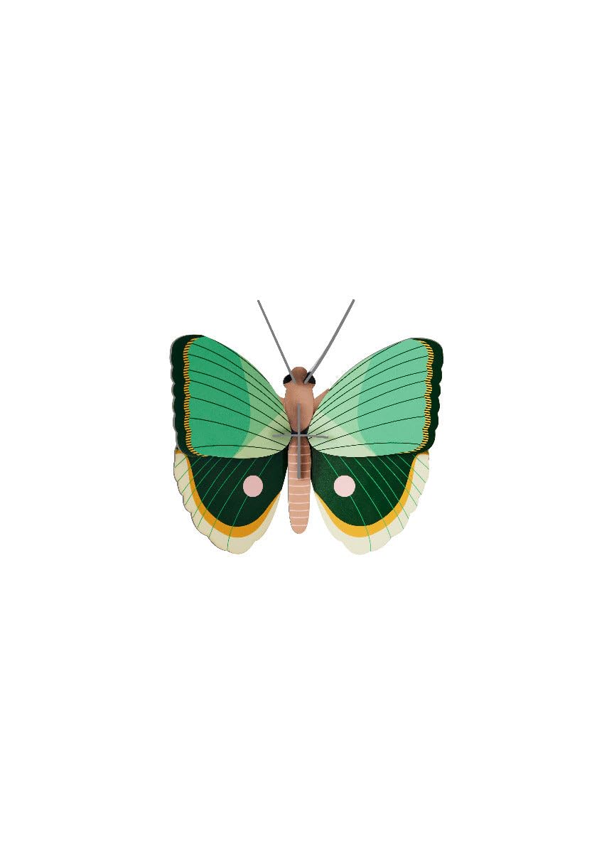 STUDIO ROOF, Wall Art Butterfly, Fern Striped Butterfly, Eco-Friendly & Creative Gift