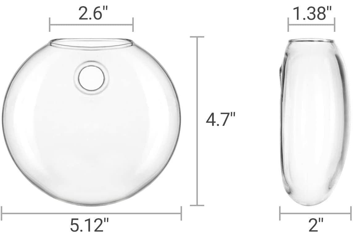 Mkono Wall Hanging Glass Terrariums Planter Oblate Flower Vase for Hydroponics Plants, Bathroom, Home Office Living Room Decor, Set of 2