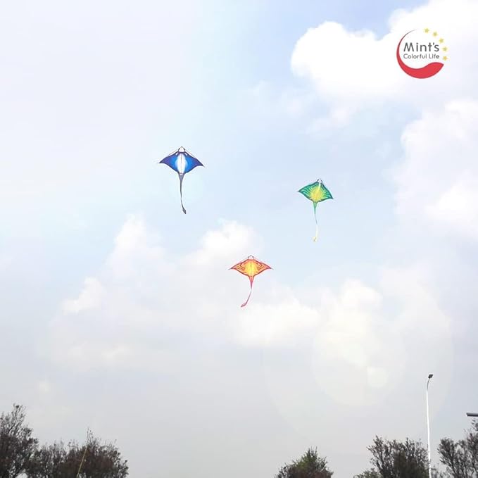 Mint's Colorful Life Devil Fish Kite for Kids and Adults，Easy to Fly Delta Kites Single Line Large, 300ft Kite String Handle Include
