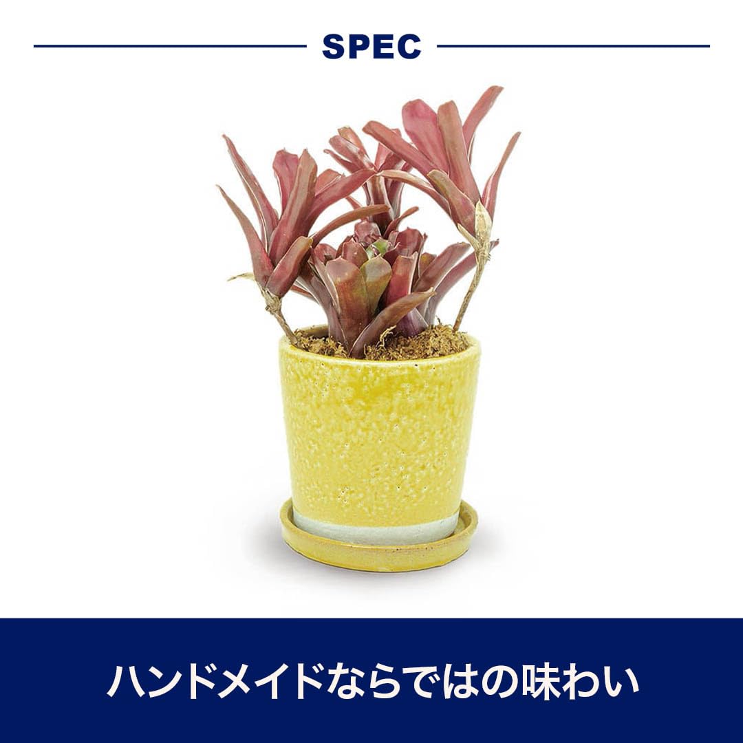 Dulton Flowerpot Planter No. 4 Light Purple with Saucer Hole Ceramic Pot Color Garden Supplies Height 4.3 inches (11 cm) Top: φ4.7 inches (12 cm) Bottom Diameter 3.7 inches (9.5 cm) CH13-G476LPL COLOR