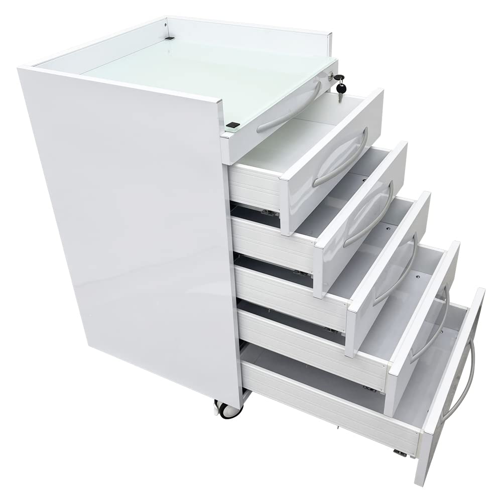 EQCOTWEA Vertical Mobile Dental Cart with Lock 5-Drawer Stainless Steel Medical Storage Cabinet on Rolling Wheels with Brakes Portable Utility Cart for Dental Assistant Hospital Clinic Office Home Use