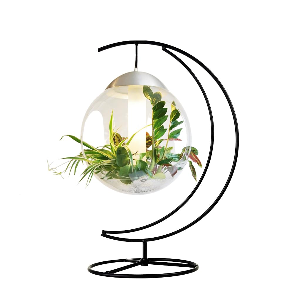 CXLE 2Pack Ornament Display Stand, 10 Inch Metal Ornament Hanger Stand for Hanging Glass Globe, Christmas Ornament, Air Plant Terrarium, Witch Ball, Home Office Wedding Decoration