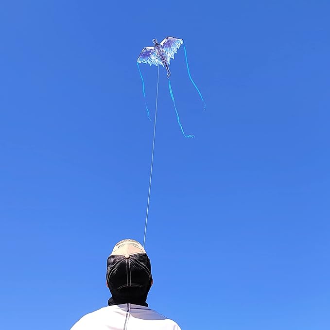 Dragon Kite for Adults, Kids Kite, Kite boy,Beach Kite, Large Kite,Kites for Kids Ages 8 12 Easy to Fly, Kite for Beginners