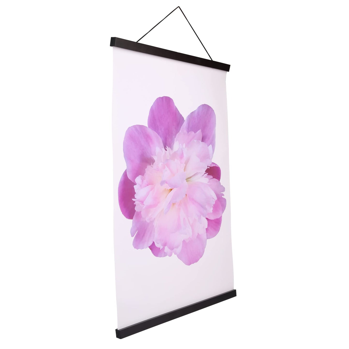 Aynoo Magnetic Poster Hanger Frame, 16x24 16x22 16x20 Picture Frame Hanger, 16 Inch Magnet Poster Frame,Black