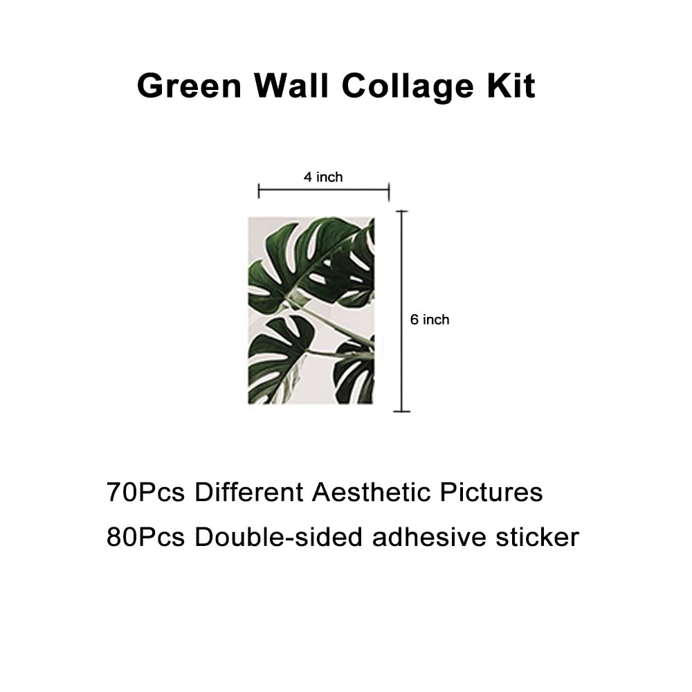 bOPART 70pcs Wall Collage Kit Aesthetic Picures, Green Plant Room Decor Aesthetic Collage Picture Wall Decor for Teen Girls/boys Room bedroom Dorm (4x6 inch)