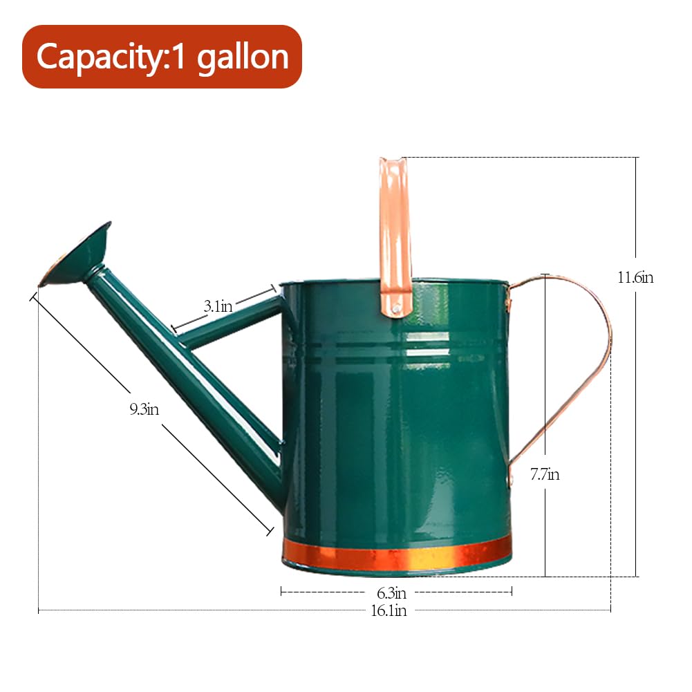 yourjoy Metal Watering Can, One Gallon Watering Cans Stainless Steel for Outdoor Indoor Garden Plants Watering (One Gallon Green Decorative Strip)