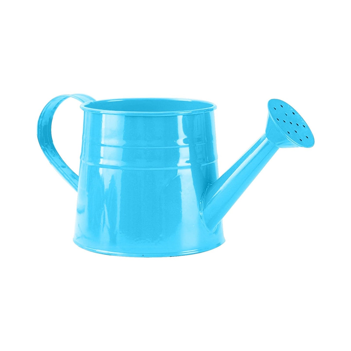 Metal Watering Can Gardening Tool Accessories, 1L Garden Watering Bucket Sprinkler Iron Watering Can for Outdoor Indoor Plants Lawn Garden (Blue)