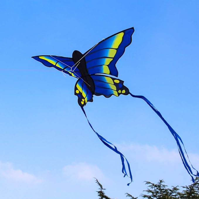 HENGDA KITE 2 Pack Butterfly Kite,for Kids and Adults,Easy to Fly,Excellent Fabric and Structure Design,The Pictures are Beautiful in high Definition,Suitable for Beginners(31x22)