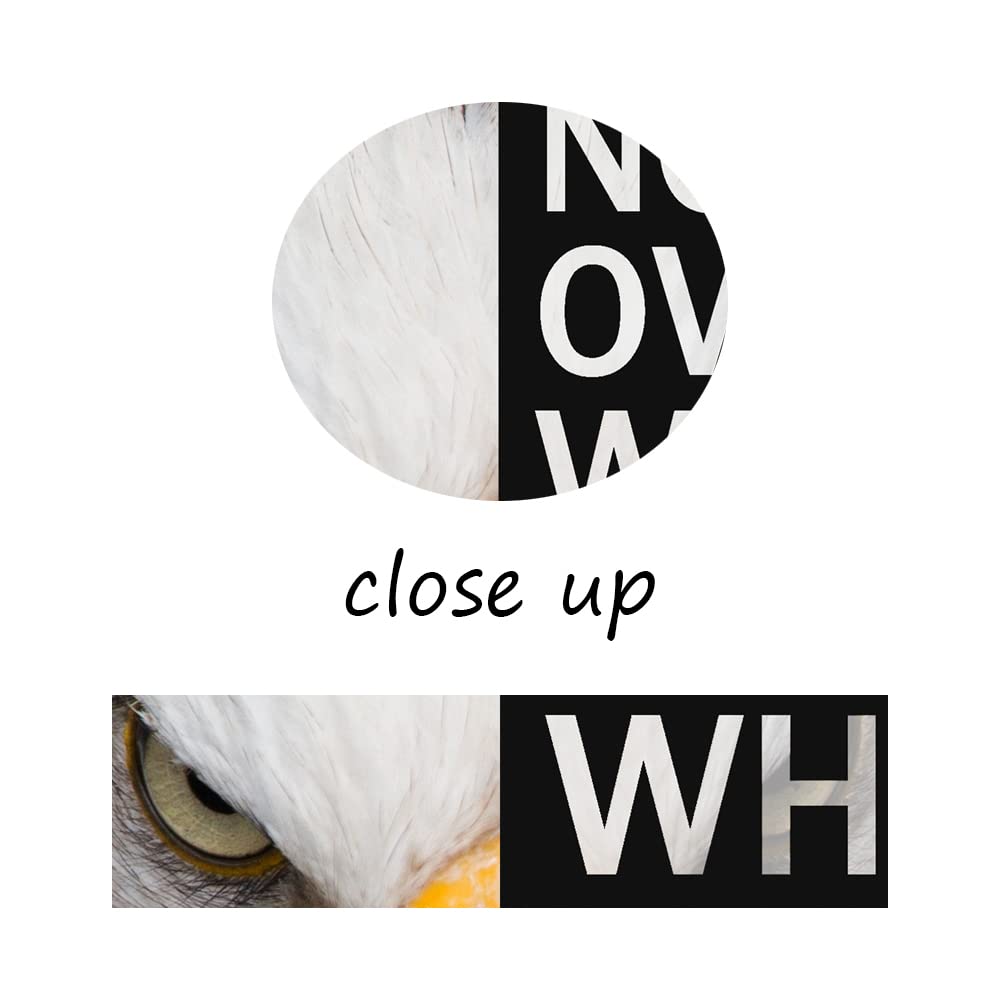 WYJZDZQ8 Animal Motivational Canvas Office Print Wall Art Eagle Inspirational Picture Animal Poster Painting Modern Inspiring Artwork for Home Living Room Office Decor Ready to Hang [12''W x 18''H]