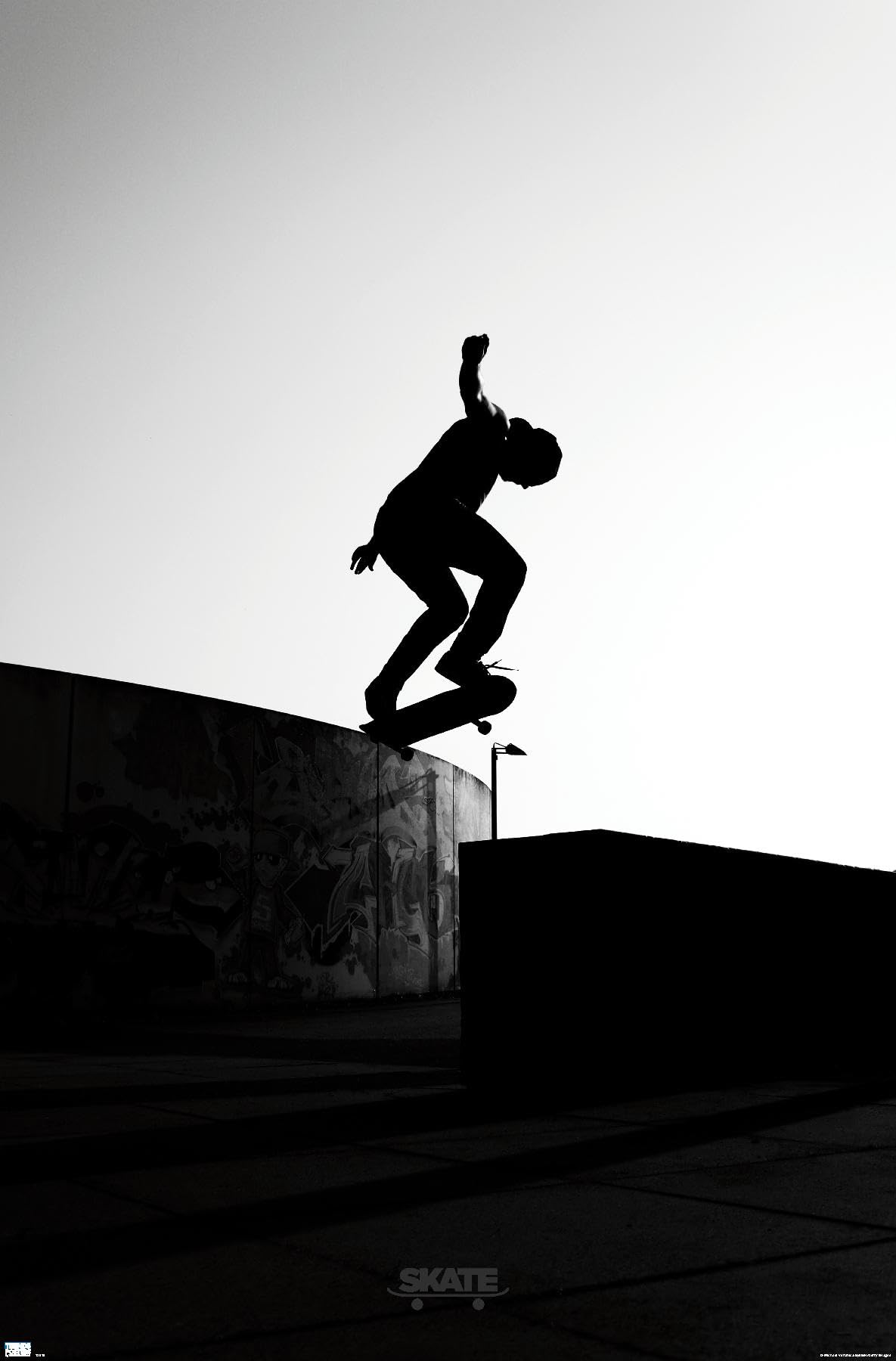 Trends International Skateboarding - Silhouette Wall Poster, 22.375" x 34", Premium Unframed Version