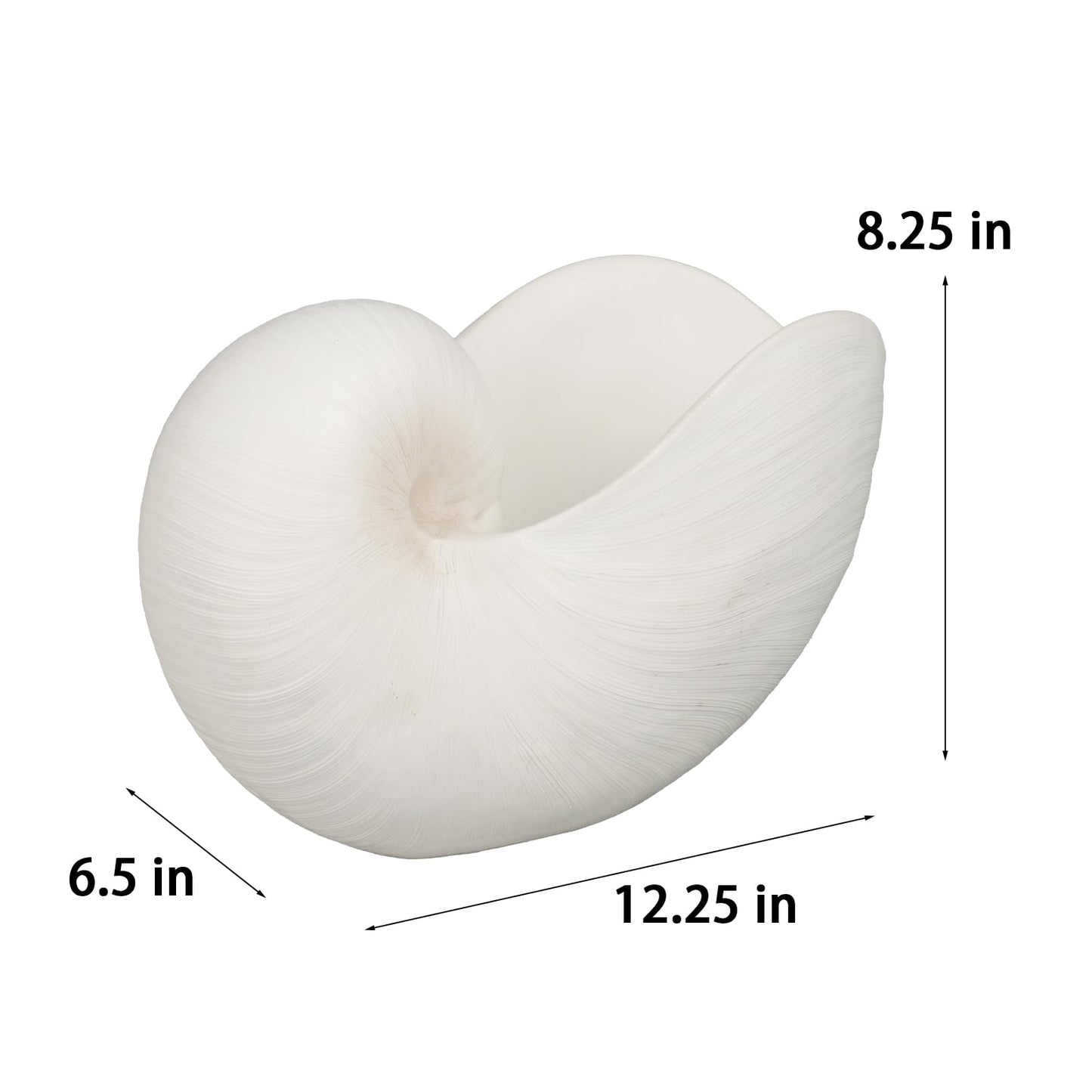 Braxio Modern Home Decor Sea Shell - Beach Themed Statue Resin Conch Shape Dish for Keys, Rings, or Succulent Planter - Coastal Decorative Bowls for Bathroom, Living Room, 12.25 x 6.25 x 8.25 Inch