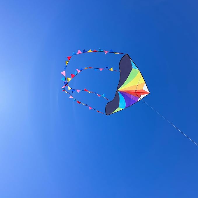 Delta Kite for Kids & Adults - Easy to Fly Large Single Line Beach Kite with 300ft String Handle Included, Perfect for Beginners, Teens