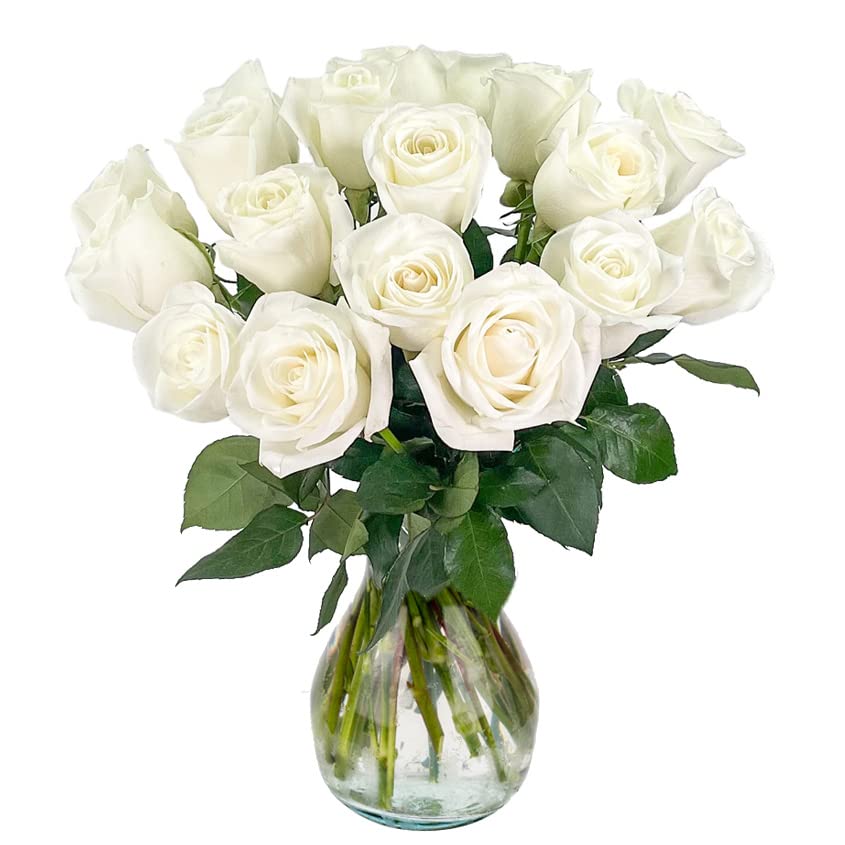 18 White Roses with Vase | Arabella Bouquets | Real Fresh Flowers for Delivery, Gift for Birthday Women, Congratulations, Anniversary, Thank You, Valentine's Day
