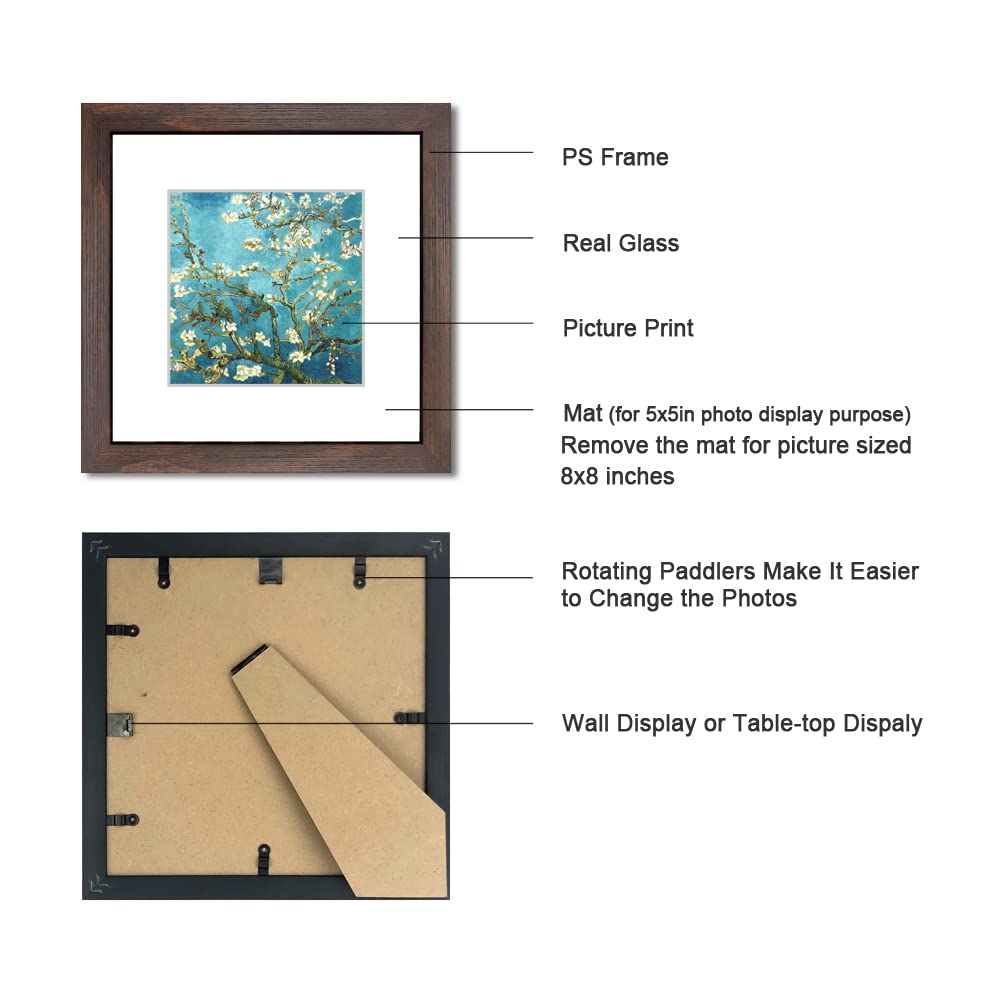 DEKWINN 8x8 Walnut Picture Frame Set of 6 with Real Glass for Pictures 5x5 with Mat or 8x8 Without Mat, Wall or Tabletop Gallery Photo Frames