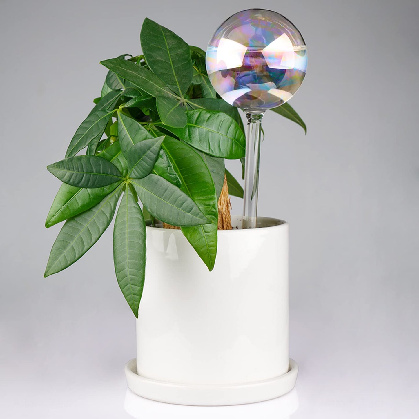 Tomorotec [4 PCS] Light Iridescent Rainbow Gradient Color Clear Glass Self-Watering System Spikes, Automatic Plant Waterer Bulbs