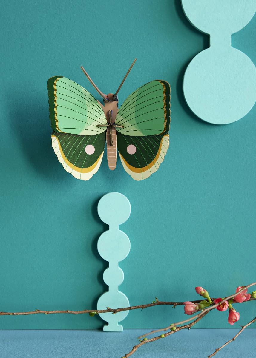 STUDIO ROOF, Wall Art Butterfly, Fern Striped Butterfly, Eco-Friendly & Creative Gift