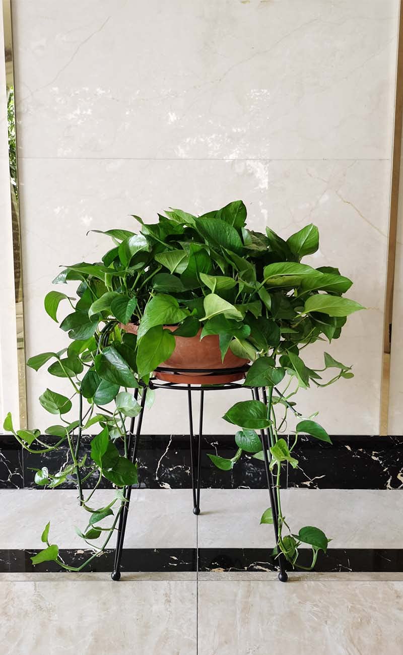 iLTreFlo Midcentury Modern Metal Potted Plant Stand 18.7 inches Tall Flower Pot Holder Large Rustproof Iron Garden Container Heavy Duty Rack for Planter,Black (18.7 inches Tall Black)