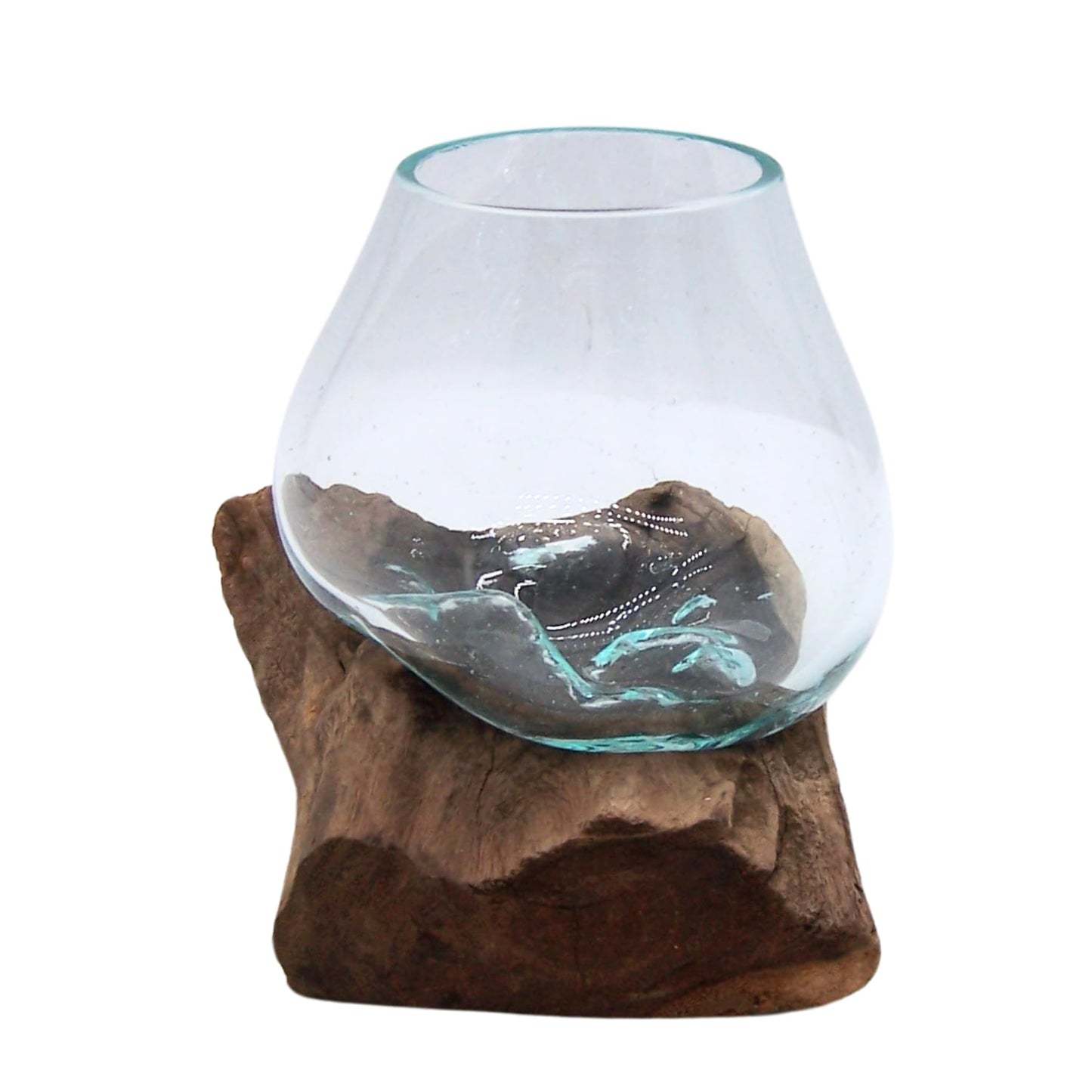 Wowser Small Glass Bowl on Driftwood Figurine, Freestanding Nautical Décor, Beach Themed Decoration, 6.5 Inches