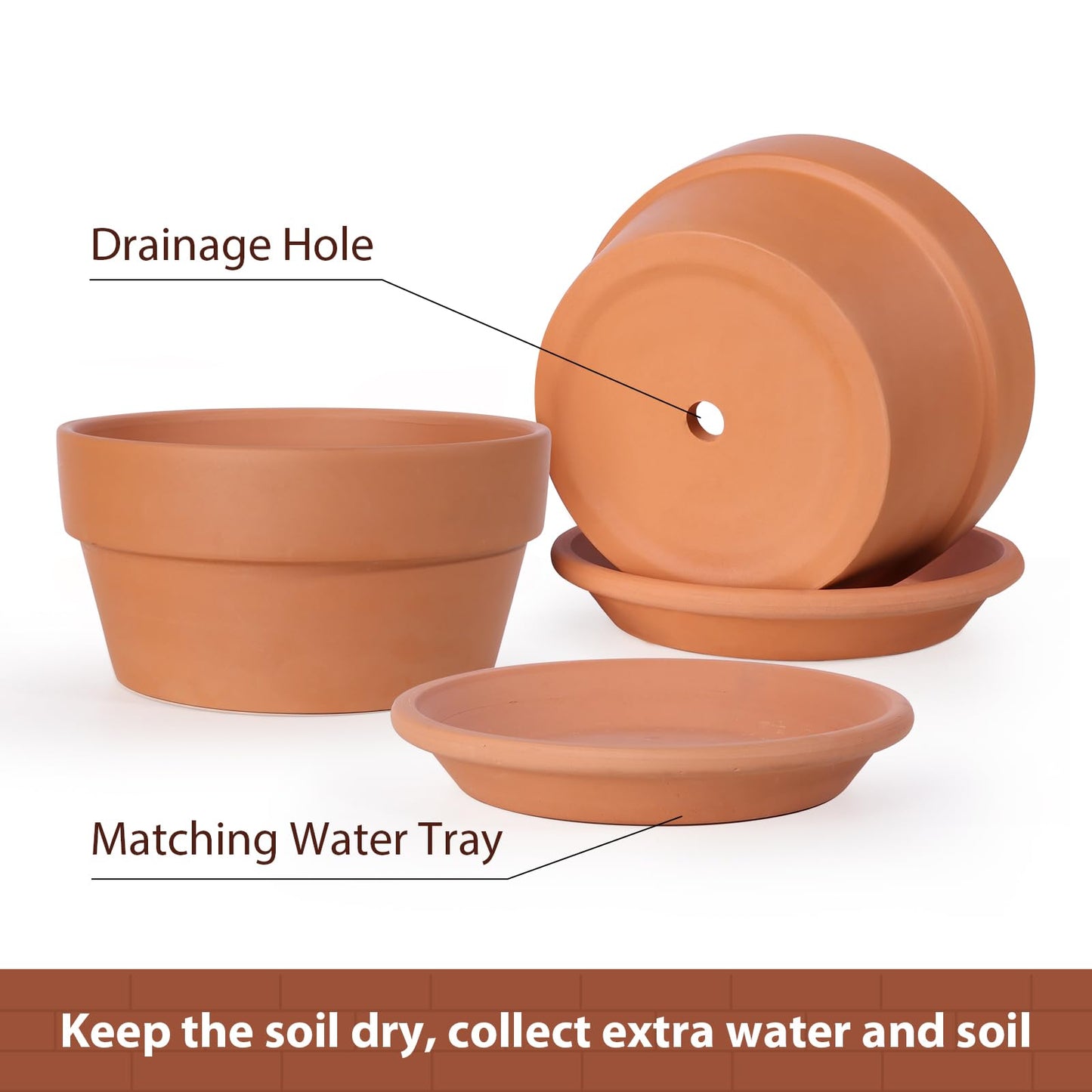 INGOFIN 8 Inch Terracotta Shallow Pots Set with Saucer - Ceramic Clay Pots with Drainage Hole, Terra Cotta Pot for Plants for Indoor Outdoor Plants, Set of 2