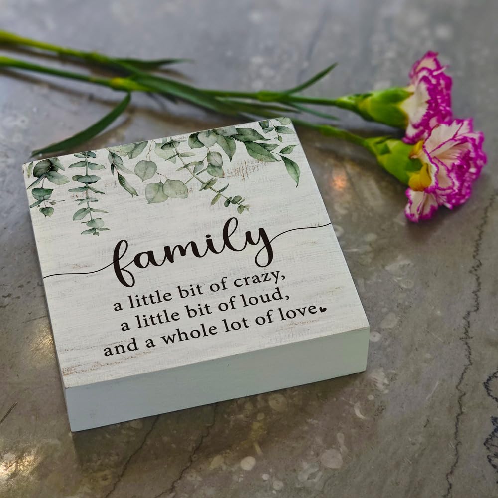 Funny Family a Little Bit of Crazy Wood Box Sign, Inspirational Quotes Rustic Farmhouse Wooden Sign Family Inspirational Wall Art Sign for Home Living Room Desk Shelf Table Decor