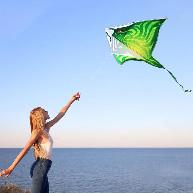 Mint's Colorful Life Devil Fish Kite for Kids and Adults，Easy to Fly Delta Kites Single Line Large, 300ft Kite String Handle Include