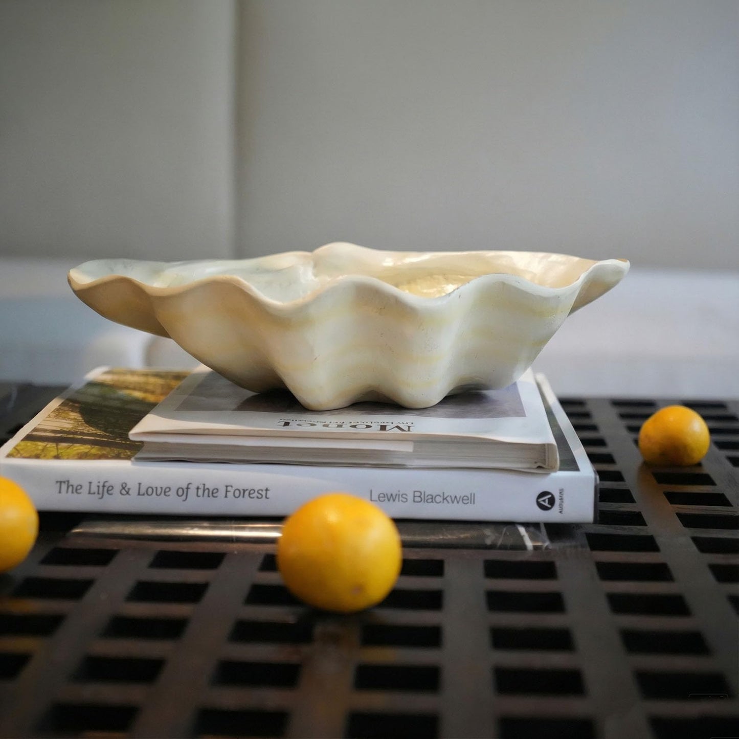 SKCSI Artificial Shell-decorated bowl Chocolate snack bowl in the living room Key bowl at the entranceway Shell-shaped resin decorative bowl
