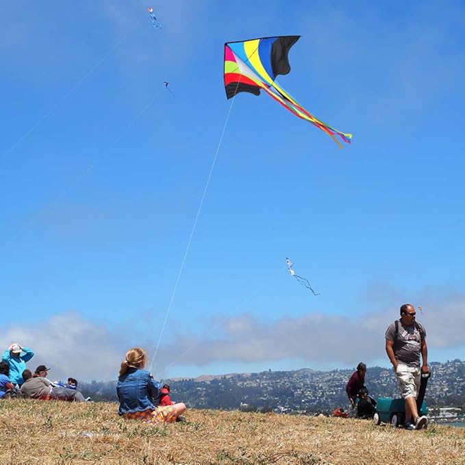 Mint's Colorful Life Delta Kite for Kids & Adults, Extremely Easy to Fly Kite, Best Kites for Beginner