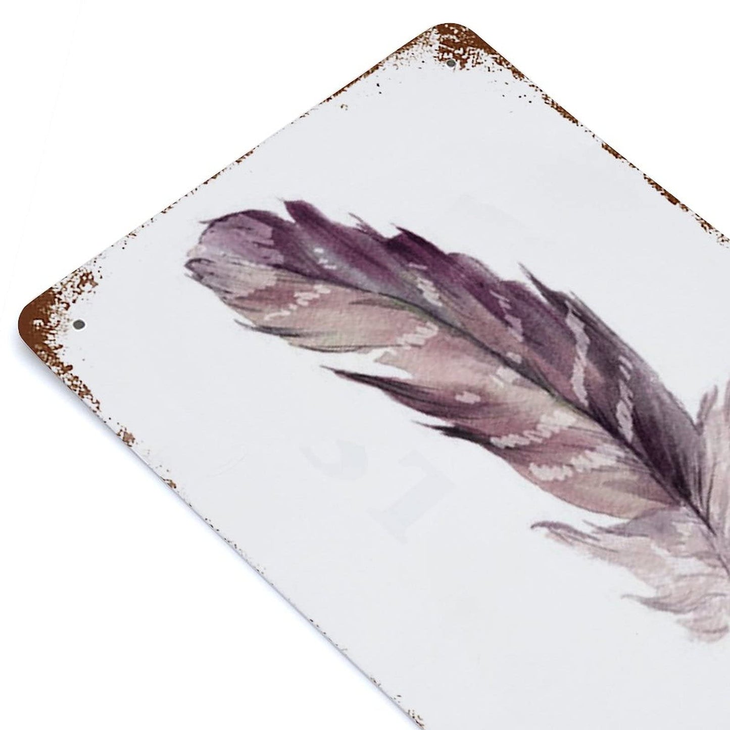 Anique Metal Tin Sign Feather Wall Art Print Home Decor Tribal Boho Watercolor 8x5.5 Inch