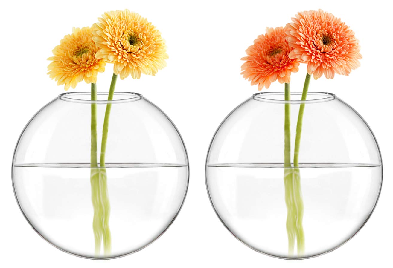 Mkono Wall Hanging Glass Terrariums Planter Oblate Flower Vase for Hydroponics Plants, Bathroom, Home Office Living Room Decor, Set of 2
