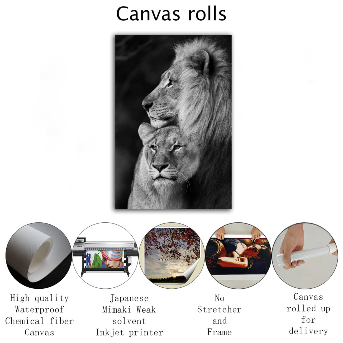 RAOMAAE Lion and Lioness Hug Poster Black and White Animal Lion Wall Art Picture Print Canvas Painting Modern Home Living Room Decor Poster (40x60cm-No Frame)