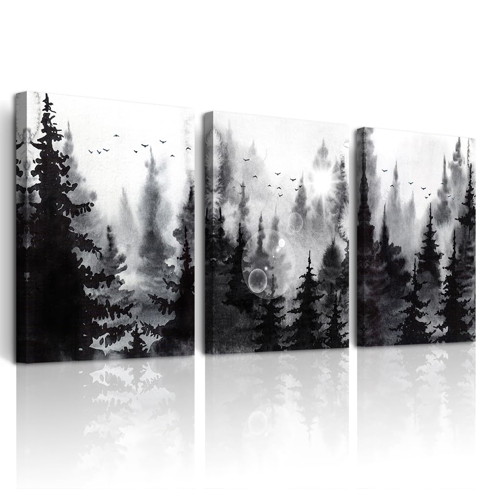 DZRWUBHS Wall Art for Living Room Black and White Wall Decor For Bedroom Bathroom Family Decoration Hang Pictures Kitchen Office Abstract Wall Painting Modern Framed Canvas Wall Art Prints 12x16 in