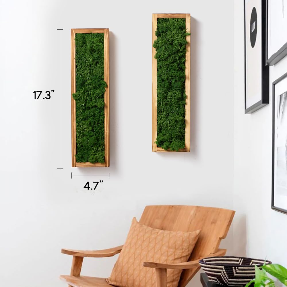Mokof 2 Pack Moss Wall Art - Preserved Moss in Wood Frame - 17.3" Natural Green Wall Decor for Living Room, Bedroom, Bathroom, Entryways, Home Office (Forest Green)